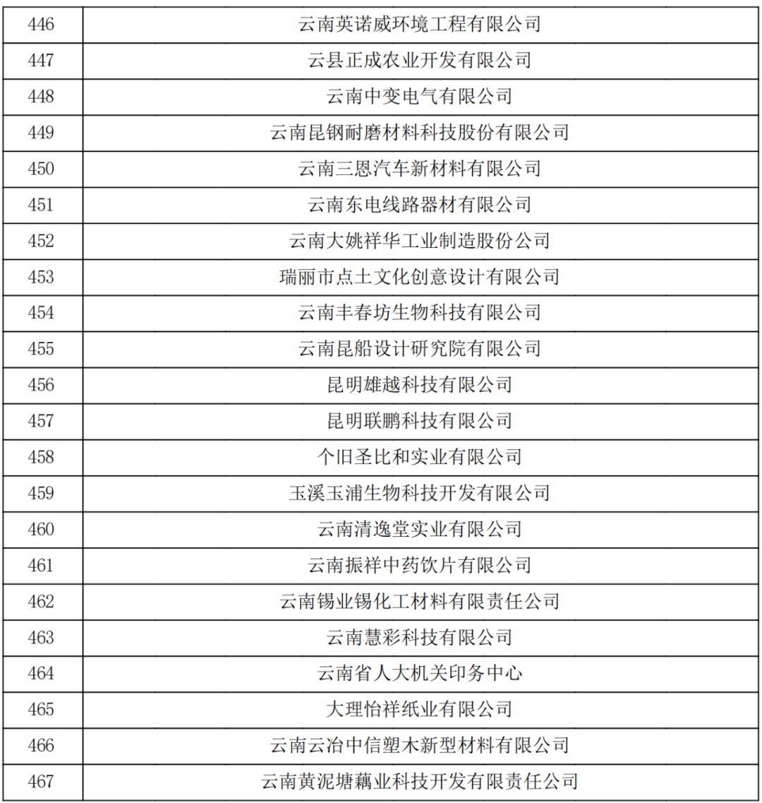 云南省2023認定報備的第一批高新技術企業(yè)(圖16)