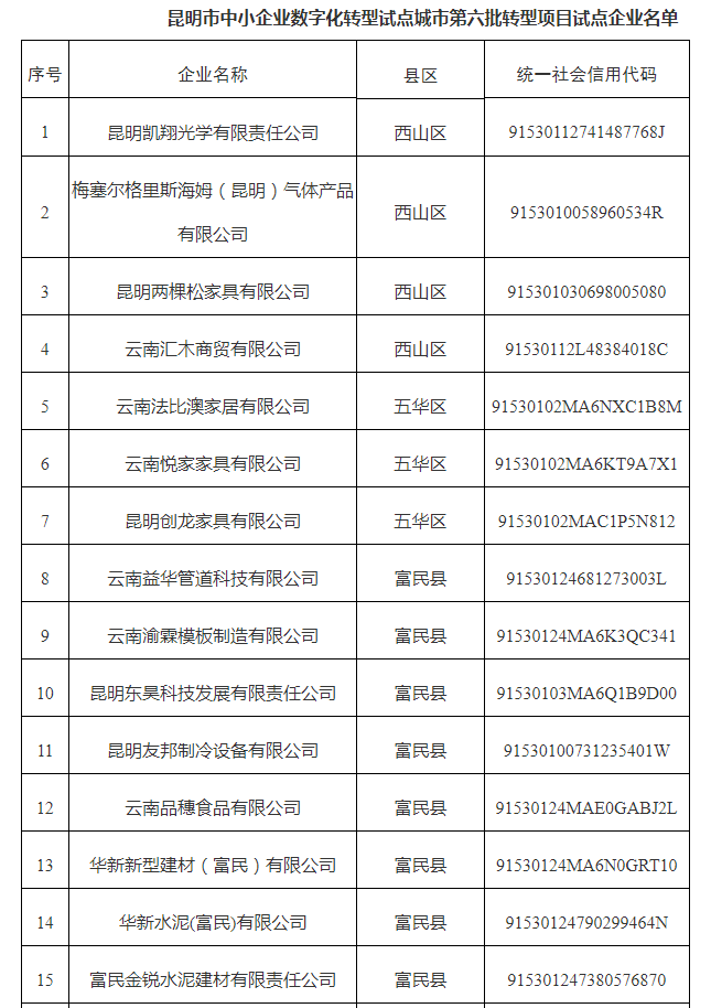 市中小企業(yè)數(shù)字化轉(zhuǎn)型試點城市第六批名單(圖1)